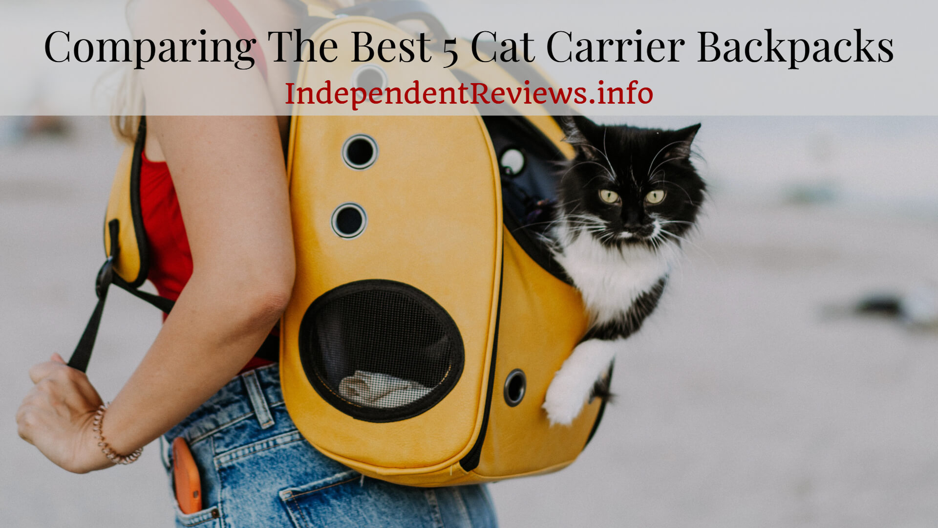 Comparing The Best 5 Cat Carrier Backpacks