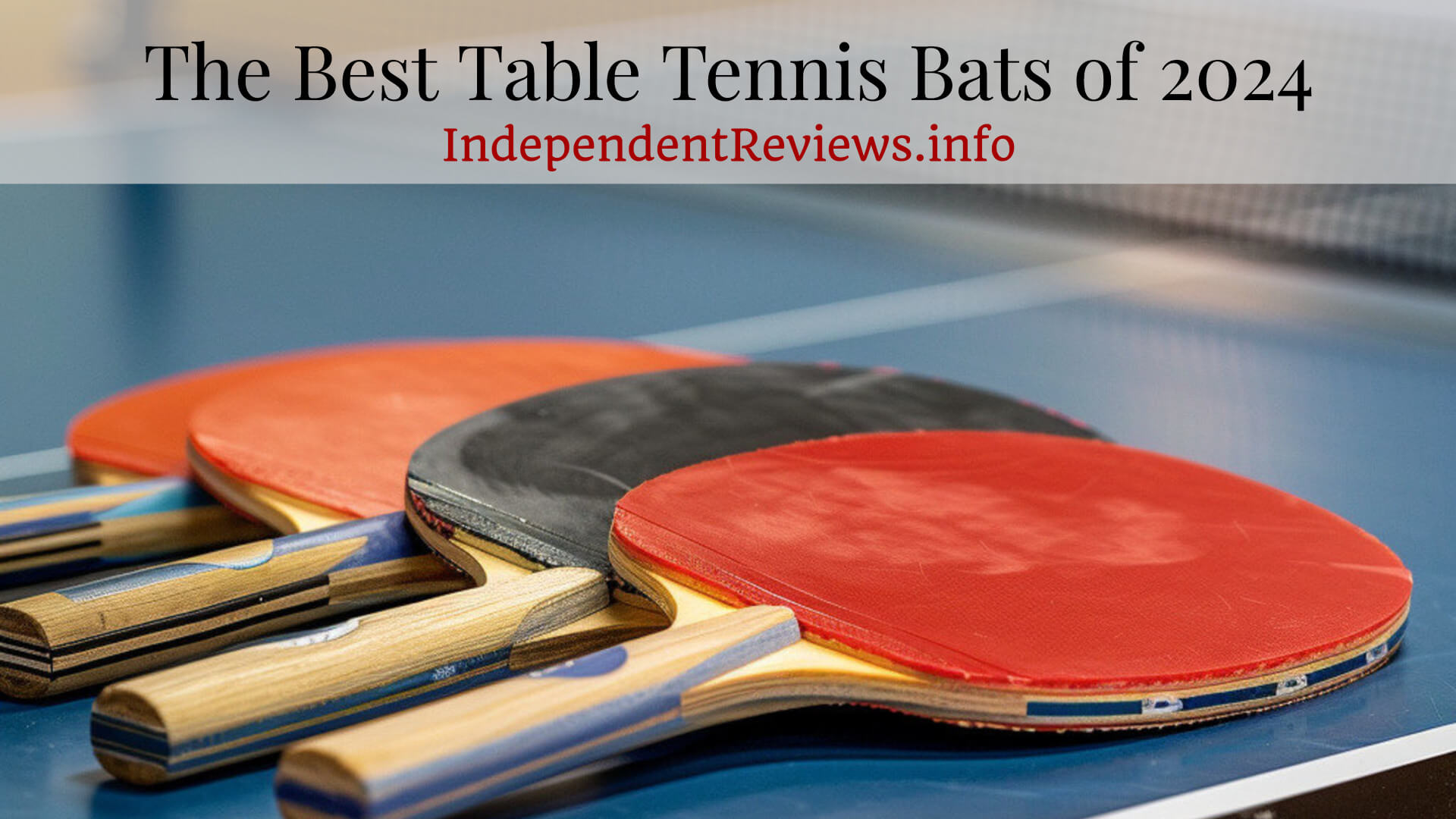 5 High-Performance Ping Pong Paddles Reviewed
